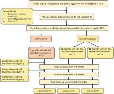 Study protocol for a zinc intervention in the elderly for prevention of pneumonia, a randomized, placebo-controlled, double-blind clinical pilot trial